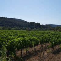 Photo de france - La randonnée de l'ancien refuge sur la colline